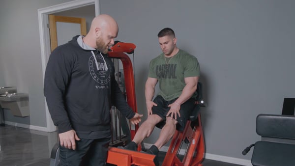 Calves