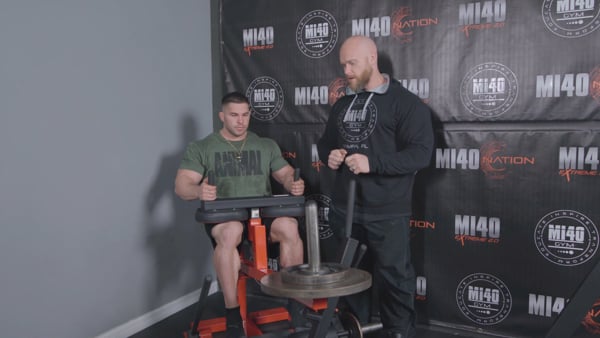 Calves