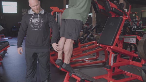 Calves