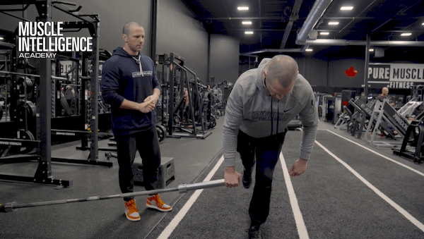 Hams/Glutes