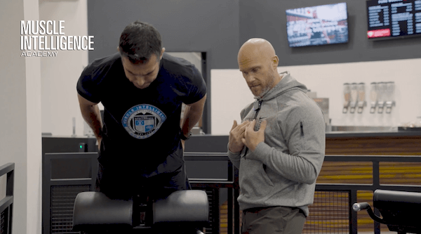 Hams/Glutes