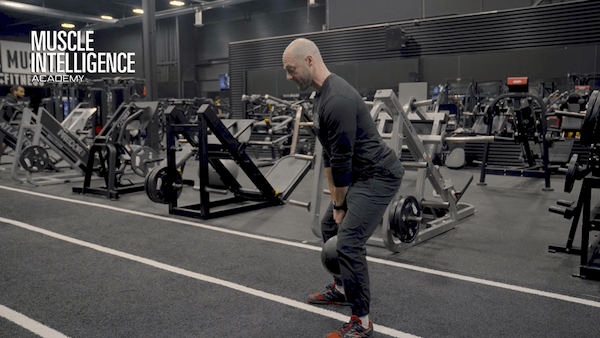 Hams/Glutes
