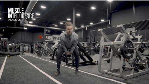 Hams/Glutes