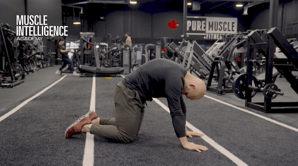 Mobility