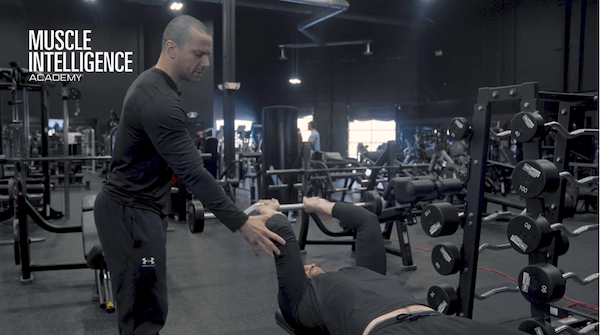 Triceps