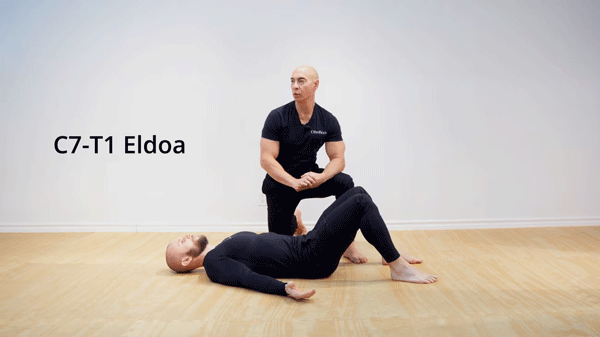 ELDOA