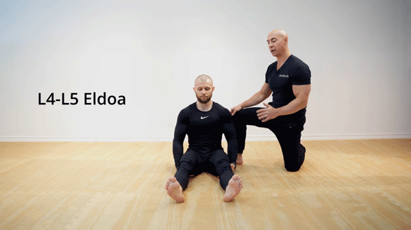ELDOA