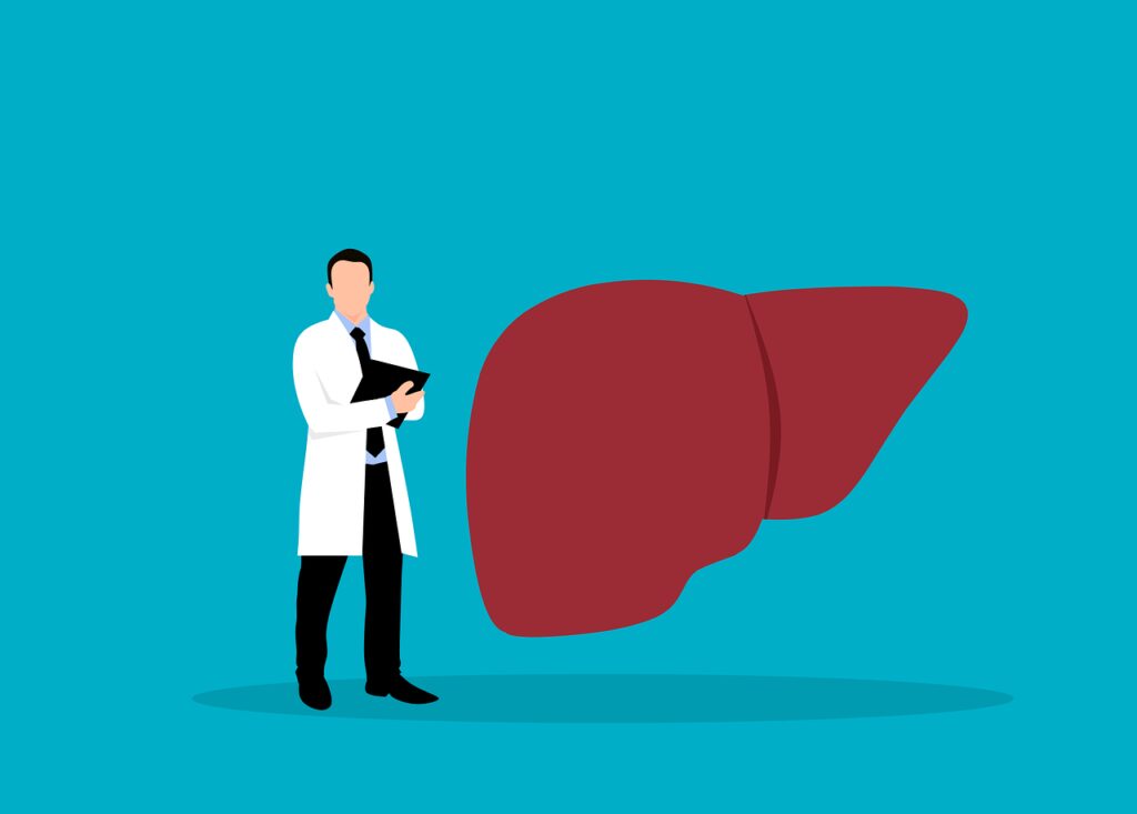 liver, internal medicine, doctor