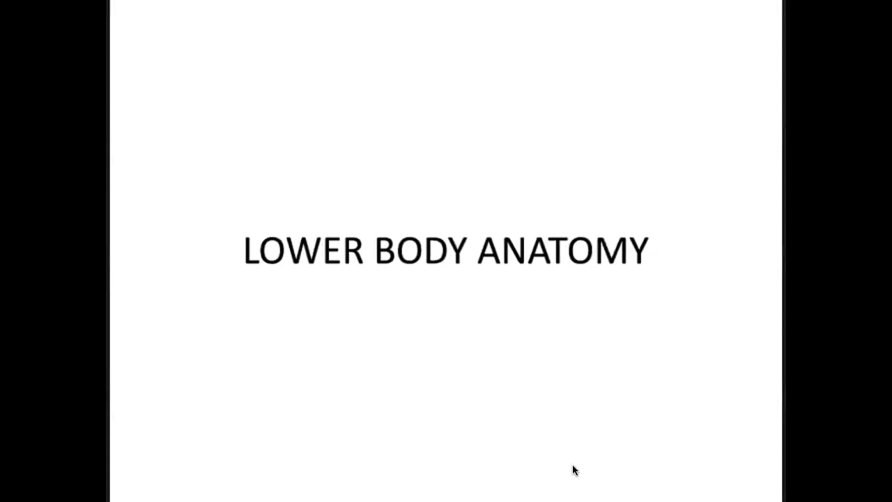 Sep 25 '24 | Lower Body Anatomy For Muscle-Building